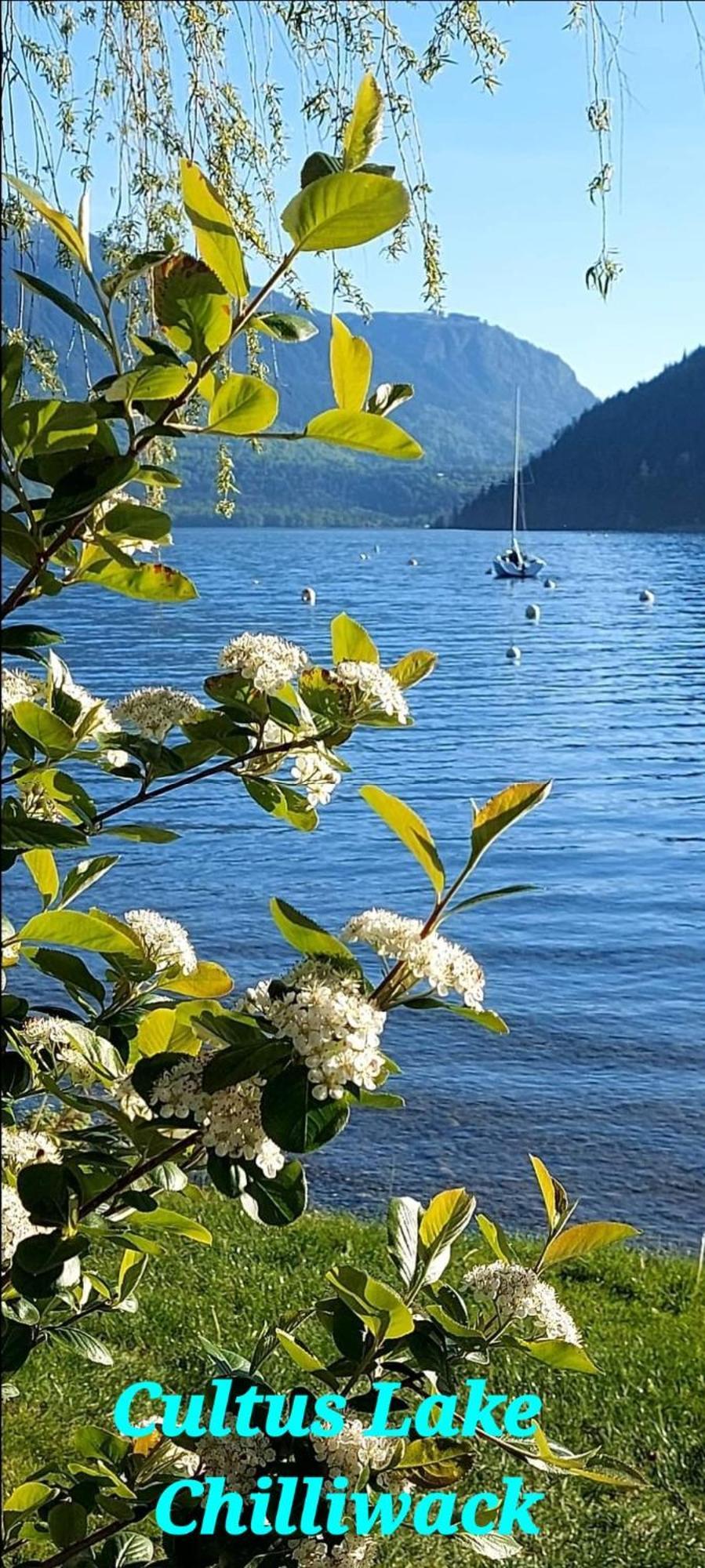 Private 2 Bedrooms Suite Near Hwy 1, Cultus Lake, Heritage Park, Fishing, Coliseum Chilliwack Rom bilde